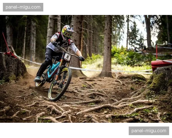 惠斯勒将首次举办UCI山地车世界杯速降赛事